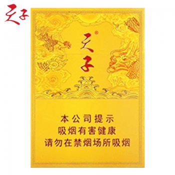 天子中支
