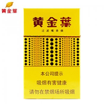 黄金叶黄金眼