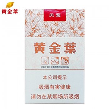 大天叶（粗支）
