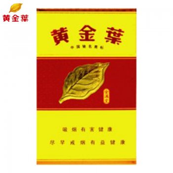 黄金叶金满堂