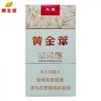 大天叶（细支）